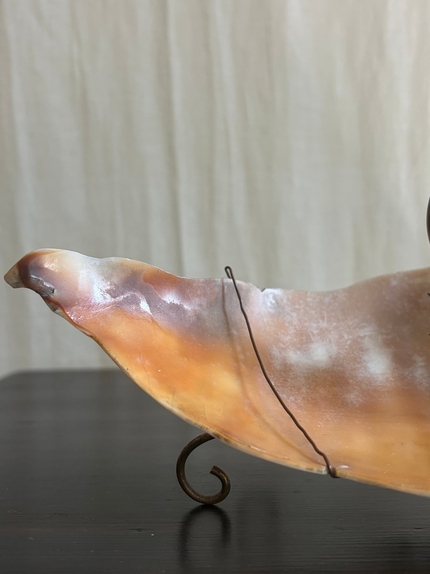 Art Nouveau Shell Dish