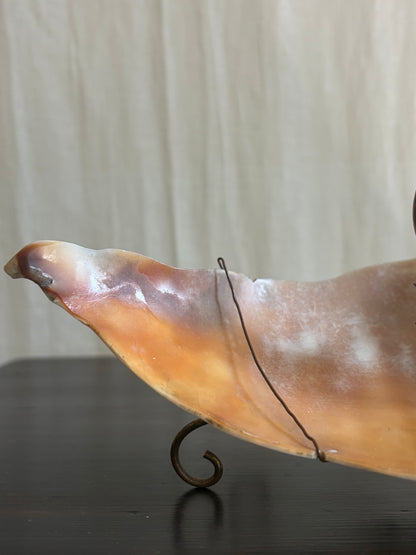 Art Nouveau Shell Dish